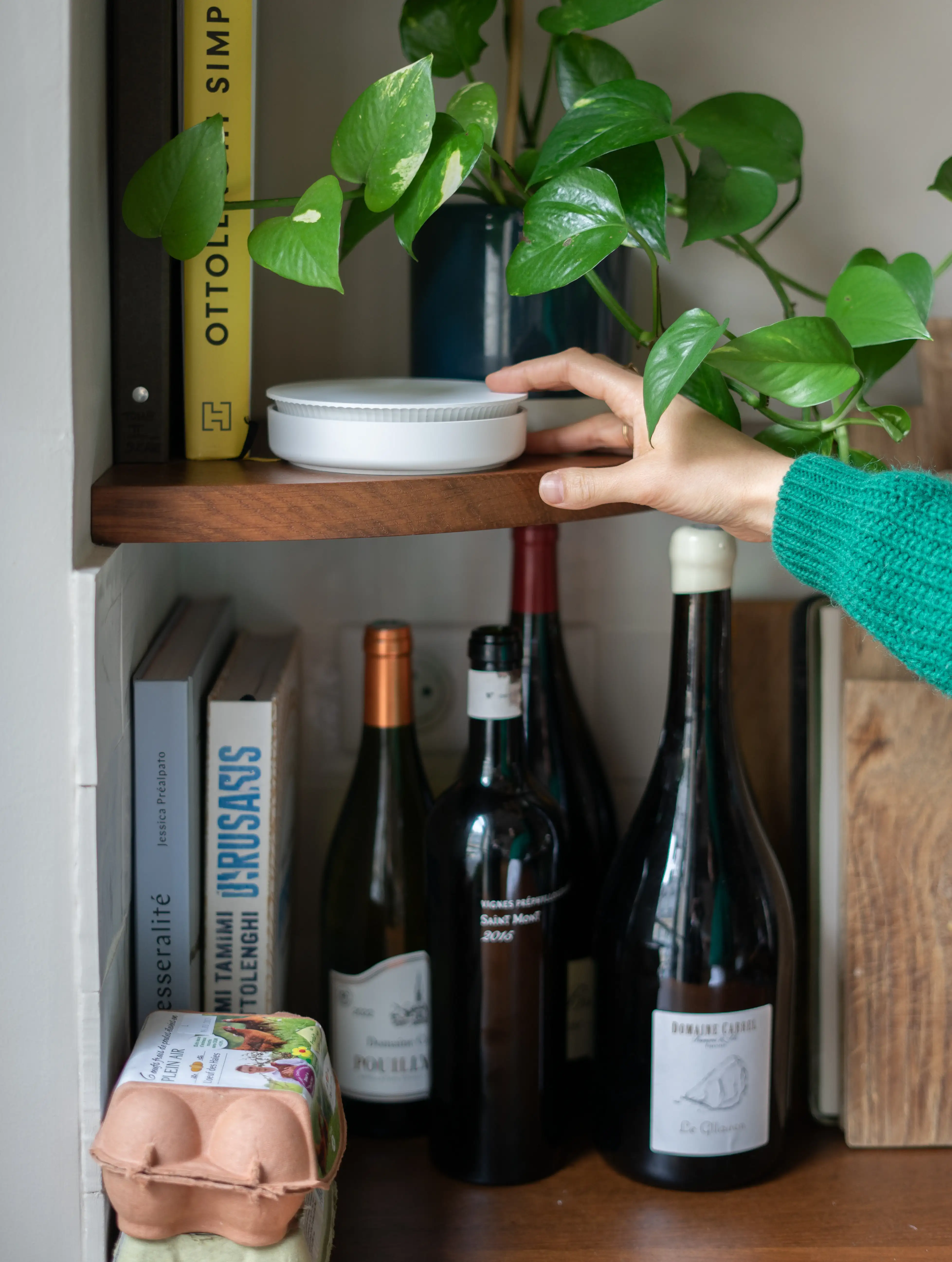 Qiara Siren on furniture with plants